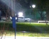 Una mujer hizo sus necesidades en el Canal Grande