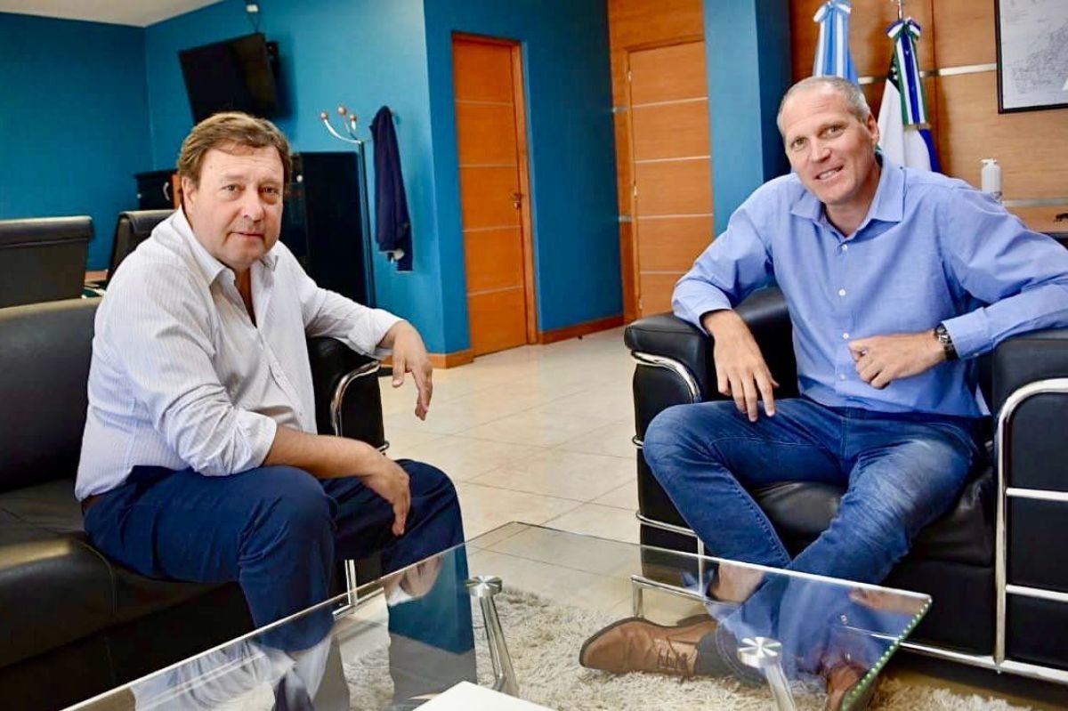 El roquense Alejandro Palmieri será el nuevo director de Rentas